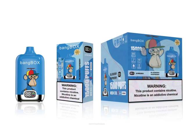 Vape Nesteet - Bang Box 15 000 suihketta TZ4V46 mustikka vadelma